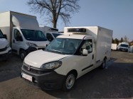 Fiat Doblo KONTENER CHŁODNIA NR 830