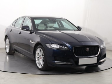 Jaguar XF X260 , Salon Polska, 240 KM, Automat, Skóra, Navi, Klimatronic,-1