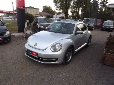 Volkswagen Beetle III-1