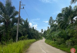 Działka inna Phang Nga