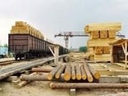 Ukraina.Drewno opalowe 15 zl/m3, zrzyny tartaczne 4 zl/m3