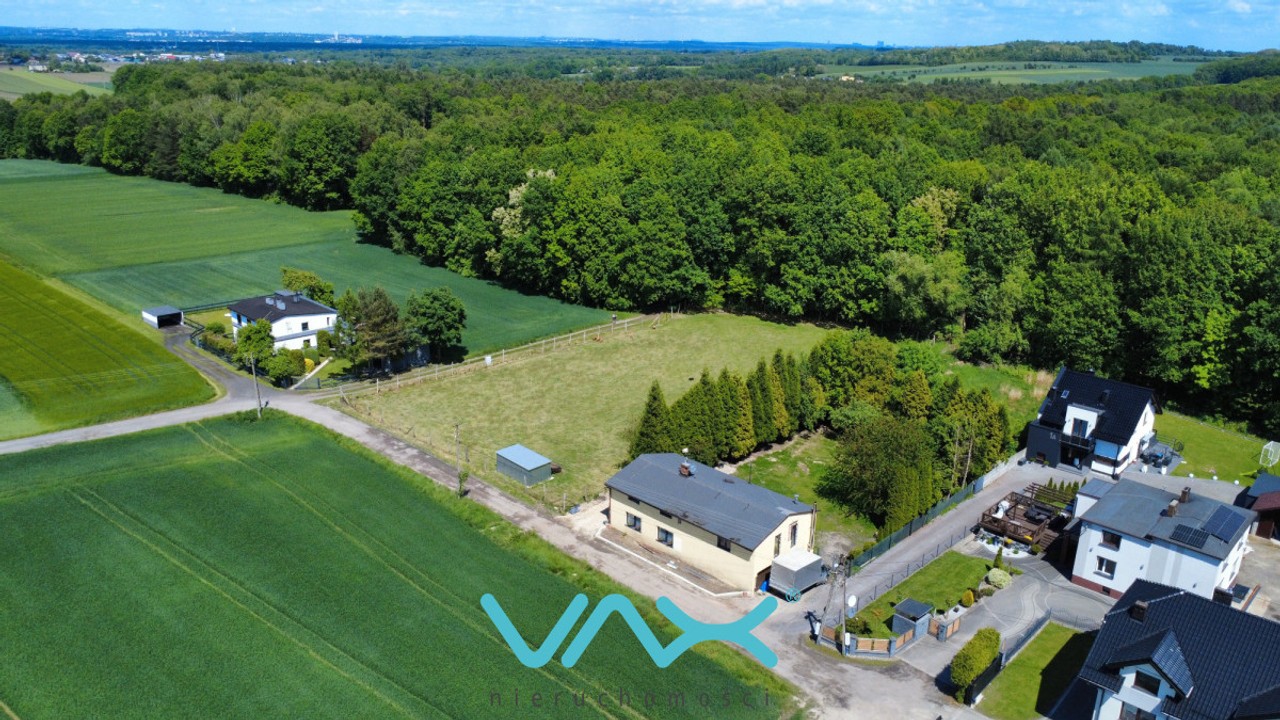 Działka pod samym lasem - Widok 3