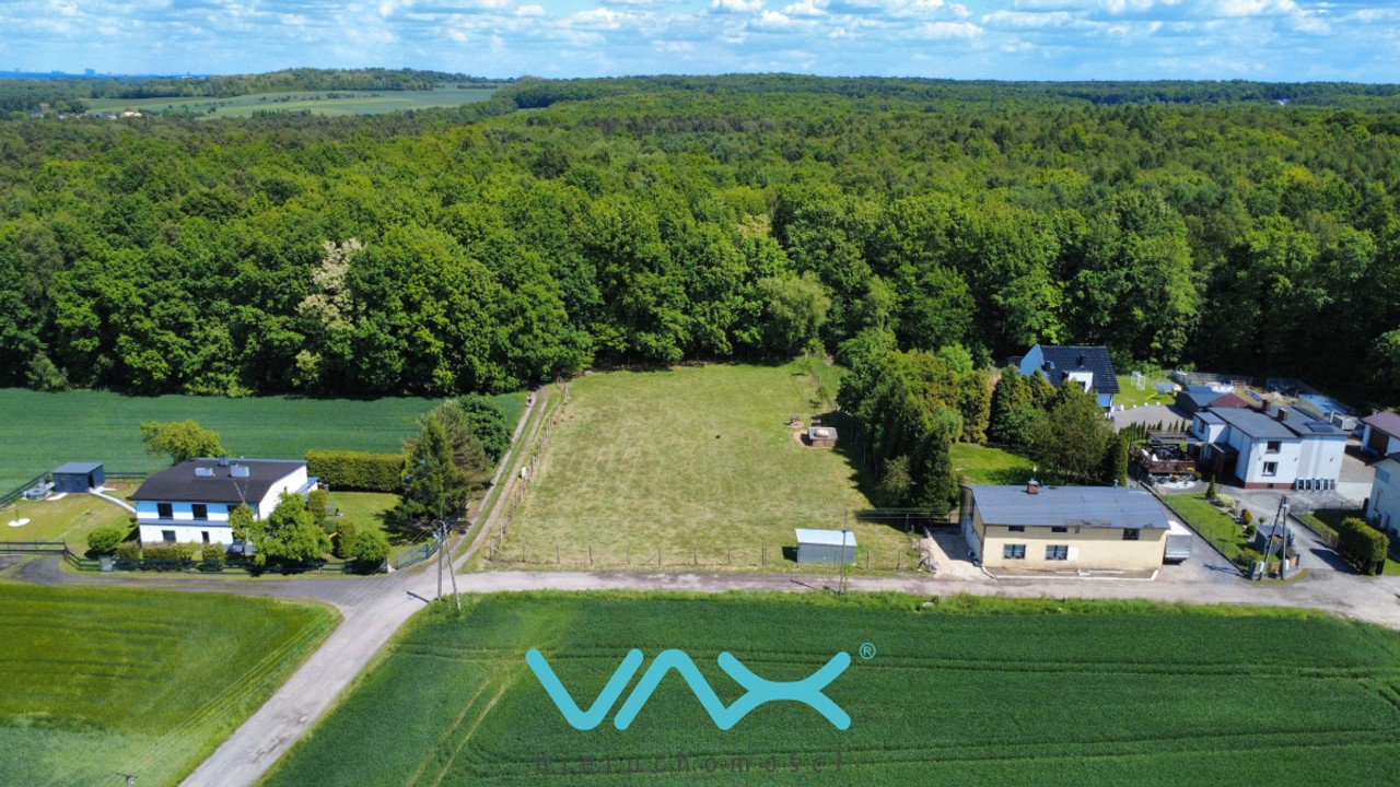 Działka pod samym lasem - Widok 4