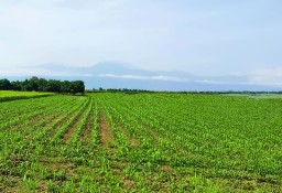 Działka 2000m z widokiem na Olimp/ 700m do plaży