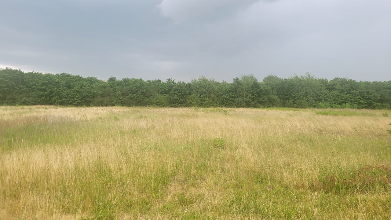 Działka budowlana 779 m² Strożyska Gm. Nowy Korczyn - Widok 2