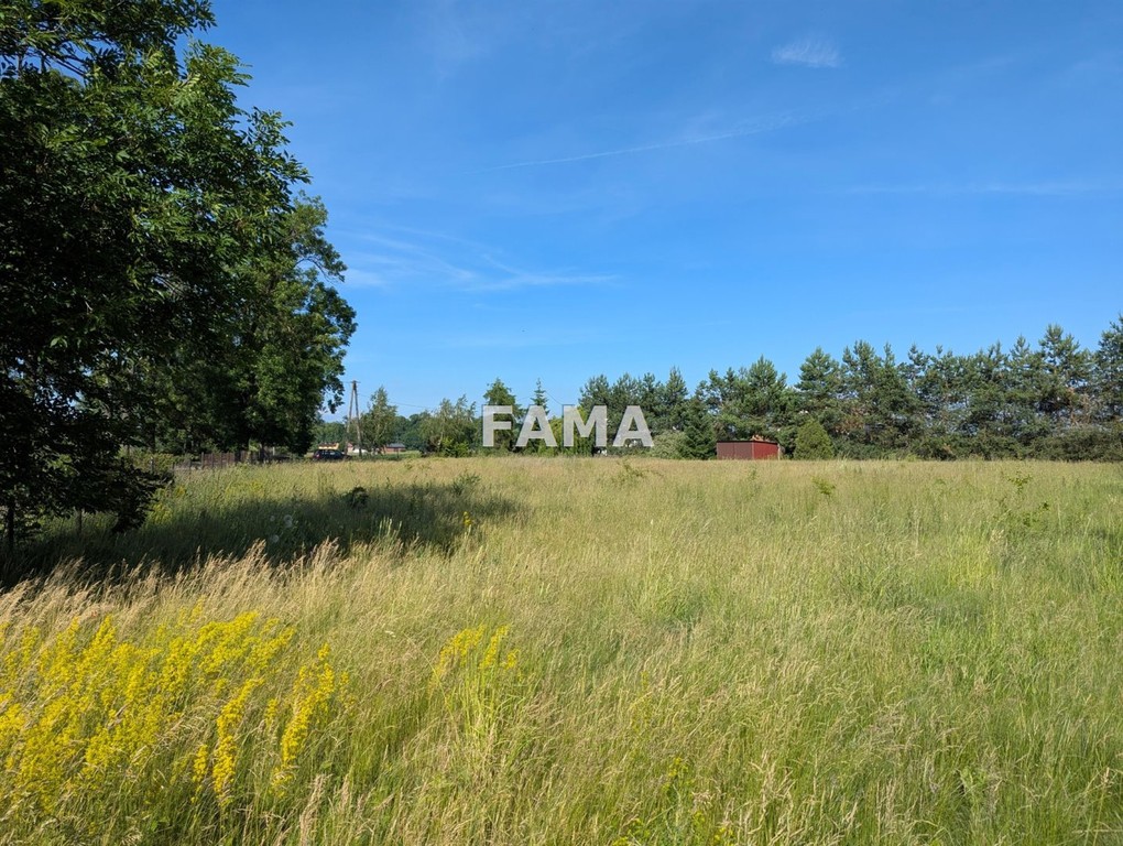 3523 m², budowlana, Śmiłowice, asfalt, aktualne WZ - Widok 2