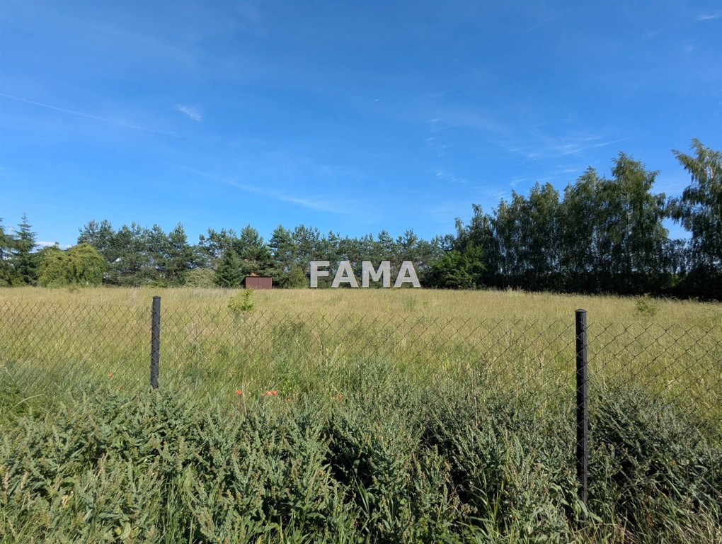 3523 m², budowlana, Śmiłowice, asfalt, aktualne WZ - Widok 3