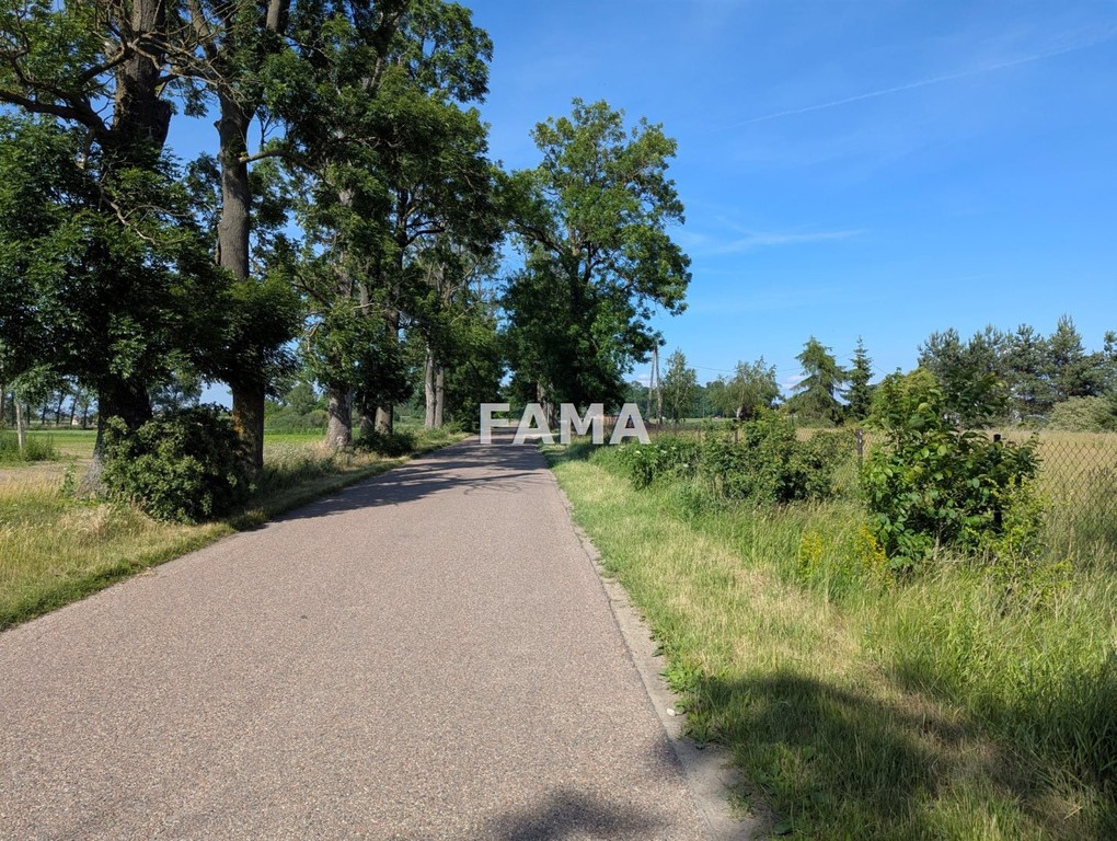 3523 m², budowlana, Śmiłowice, asfalt, aktualne WZ - Widok 4