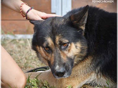 Mati - gdyby ktoś zechciał dać mu szansę-1