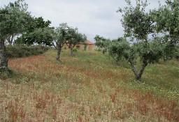 Działka inna Castelo Branco, Castelo Branco