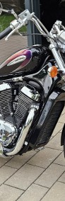 Suzuki VS 800 Intruder | 1999 | 40 378 km | bdb stan -raty--4