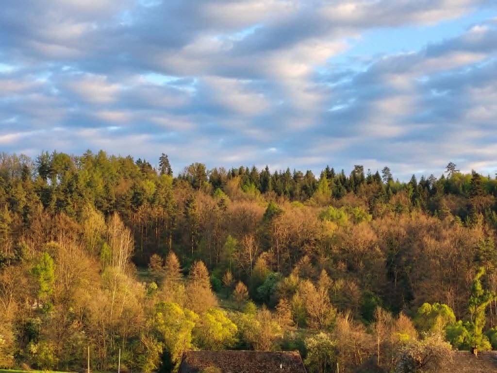 28 a, działka rolna, Włosań, gm. Mogilany - Widok 2