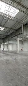 Hala /Magazyn 4550 m2 / 1539 m2/ 300 m2 + Biura-3