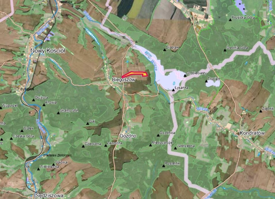 Biegoszów, gm. Świerzawa, 62.000 m², Teren Elektrowni Słonecznej - Widok 3