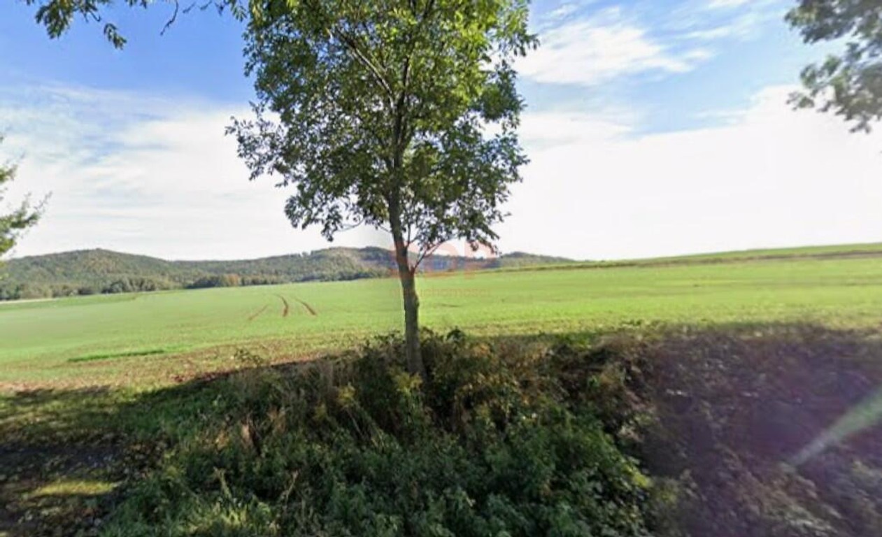 Biegoszów, gm. Świerzawa, 62.000 m², Teren Elektrowni Słonecznej - Widok 5