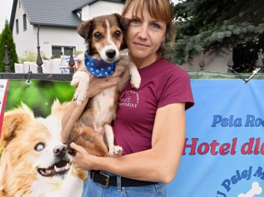 Mały , przemiły Falko do adopcji.-1