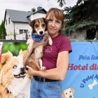 Mały , przemiły Falko do adopcji.