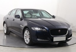 Jaguar XF X260 , Salon Polska, 240 KM, Automat, Skóra, Navi, Klimatronic,