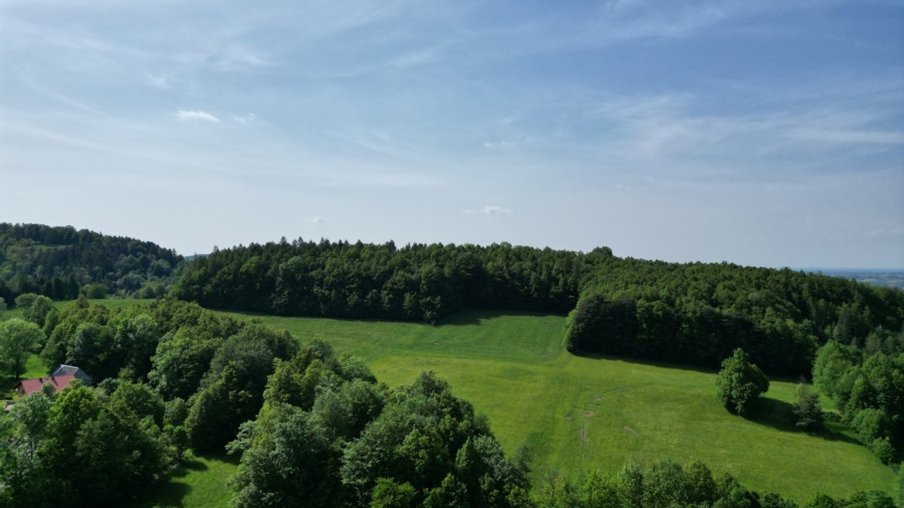 3679 m² / 3 WARUNKI ZABUDOWY / MOŻLIWOŚĆ WYDZIELENIA 3 DZIAŁEK - Widok 3