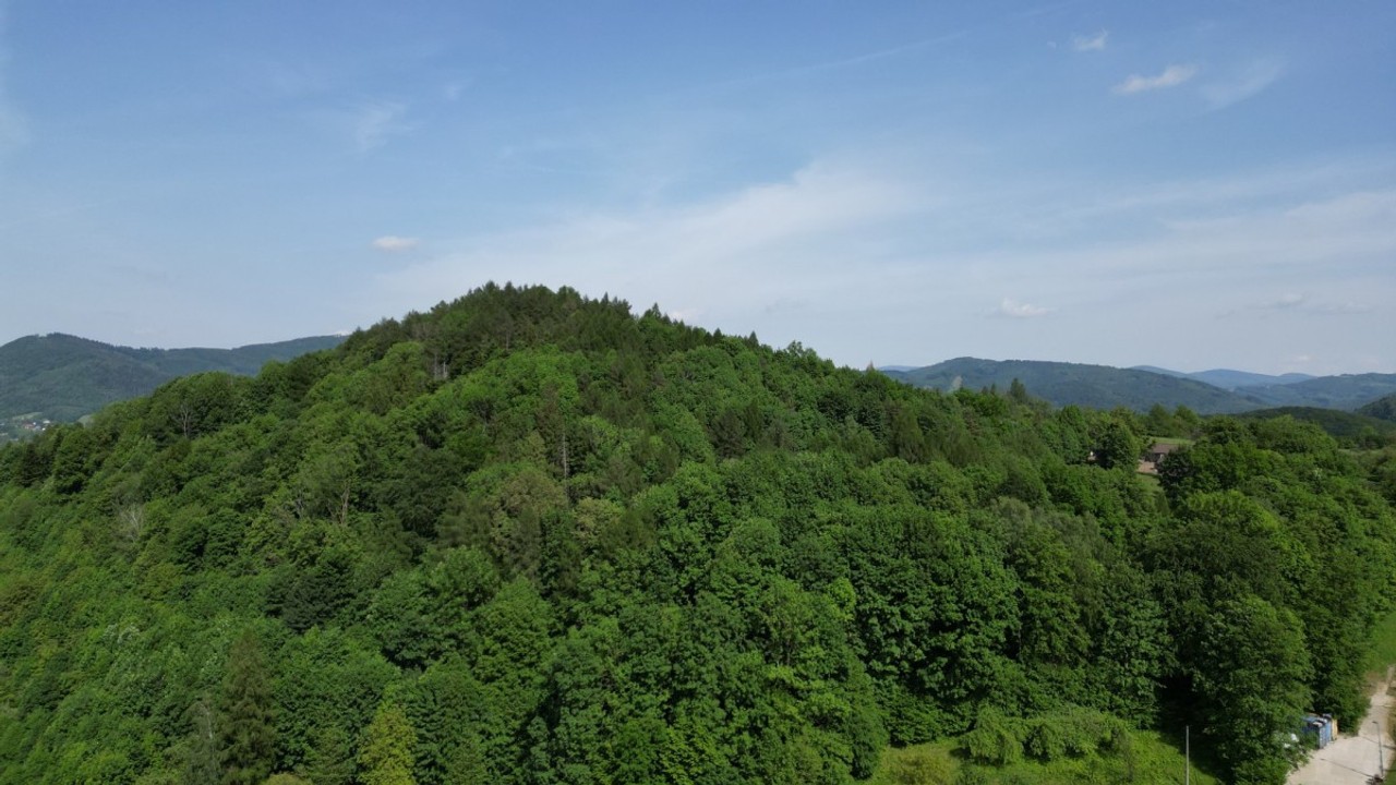 3679 m² / 3 WARUNKI ZABUDOWY / MOŻLIWOŚĆ WYDZIELENIA 3 DZIAŁEK - Widok 5