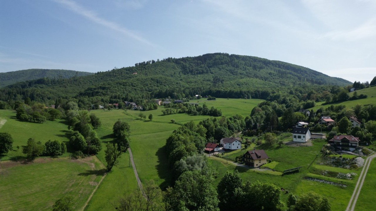 3679 m² / 3 WARUNKI ZABUDOWY / MOŻLIWOŚĆ WYDZIELENIA 3 DZIAŁEK - Widok 6
