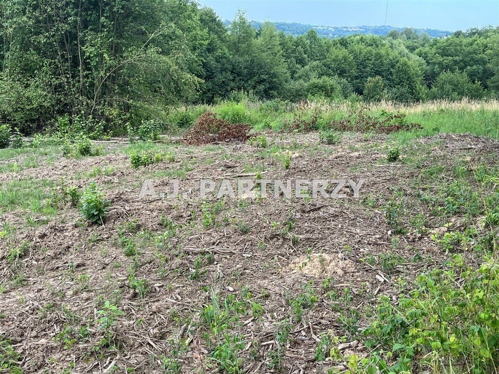 Działka budowlana z mediami w Golkowicach – pohled 3