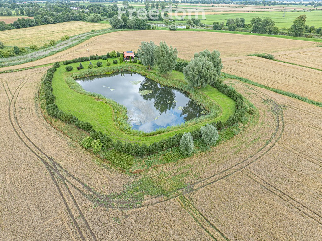 dom na sprzedaż