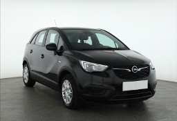 Opel Inny