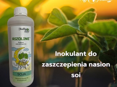 Inokulant do zaszczepienia nasion soi Rizoline SC-1