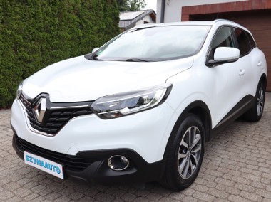 Navi, Asystent Pasa ruchu-1