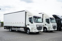 DAF LF 55 LF / 260 / E 6 / ACC / BURTOFIRANKA + WINDA / ŁAD. 8 975 KG / 18 PALET