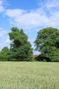 Gruszów (gm. Raciechowice) - gospodarstwo rolne o powierzchni 2,85 ha.-2