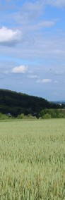 Gruszów (gm. Raciechowice) - gospodarstwo rolne o powierzchni 2,85 ha.-3