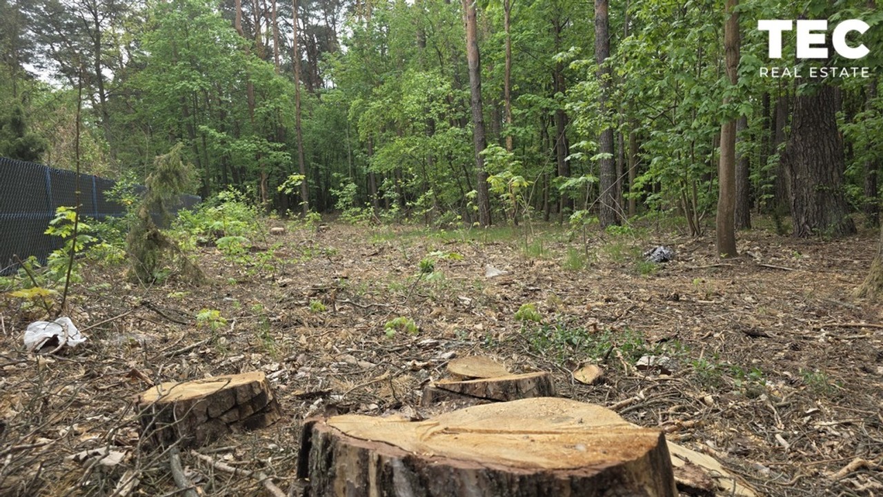 OTWOCK–MAJOWA|7405 m²|DZIAŁKA,ZIELEŃ,PRESTIŻ - Widok 5