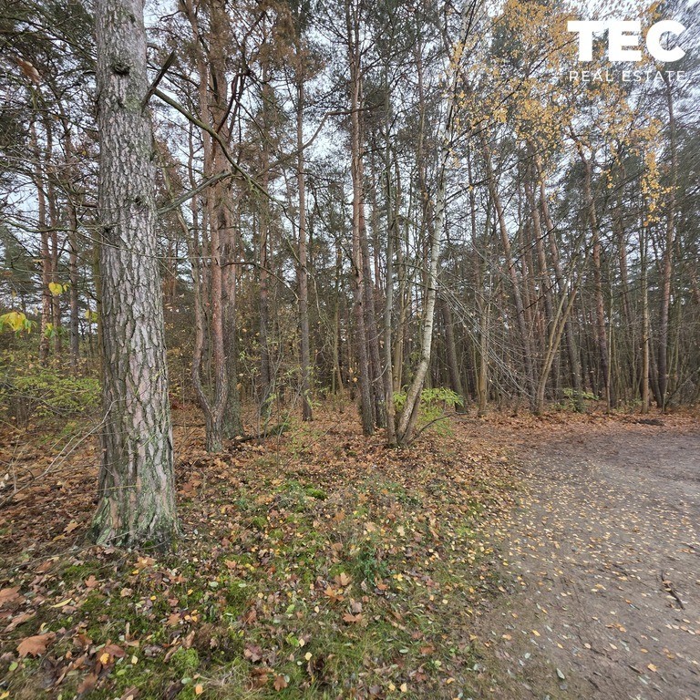 OTWOCK–MAJOWA|7405 m²|DZIAŁKA,ZIELEŃ,PRESTIŻ - Widok 6