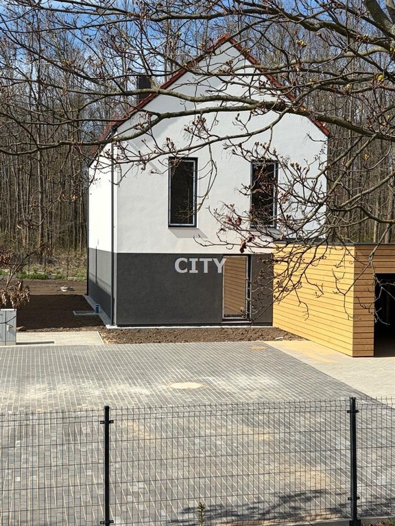 wolnostojący, gotowy, duża działka, widok na las - Widok 3
