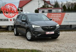 Opel Grandland X 1.5CDTi 130KM Manual 2019r. Panorama LED Kamera TEMPOMAT