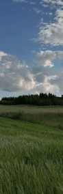 1,64 ha Działka budowlano-rolna Wolbrom/Sulisławice-4