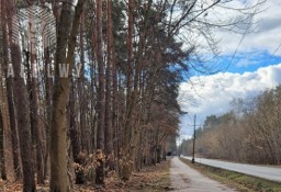 Działka budowlana Dąbrowa, ul. Leśnych Dębów