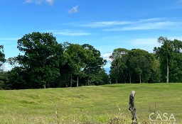 Działka inna Potrerillos Arriba