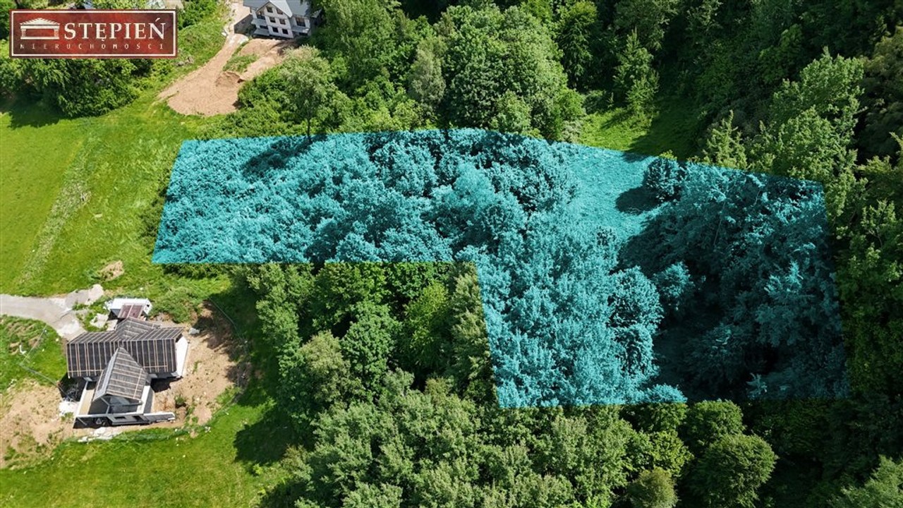 Duża, widokowa działka z lasem w Miłkowie - Widok 3