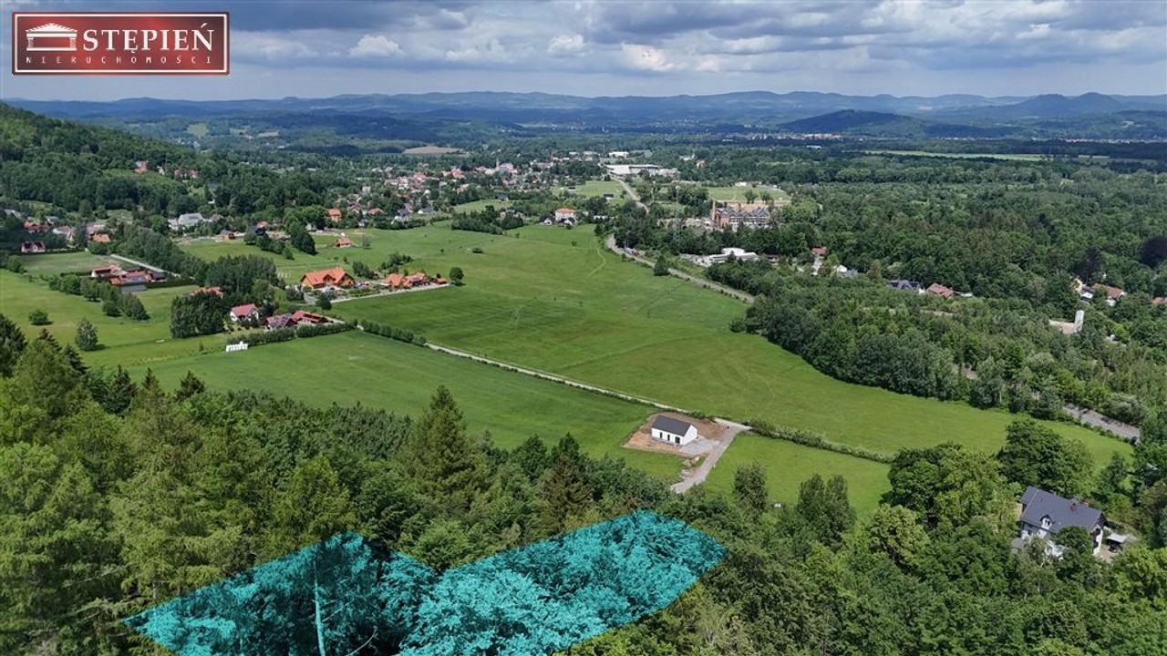 Duża, widokowa działka z lasem w Miłkowie - Widok 5