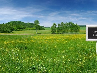 Działka, sprzedaż, 260.00-1