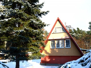 Mały dom w towarzystwie lasu Iłów-1