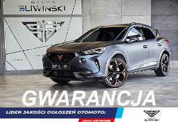 Cupra Formentor VZ 2.0 TSI 4Drive DSG Tribe Edition
