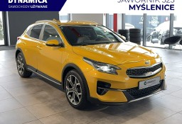 Kia Xceed VAT 23% Business Line 1.5T-GDI 160KM M6 2021 r., sal. PL, I właścici