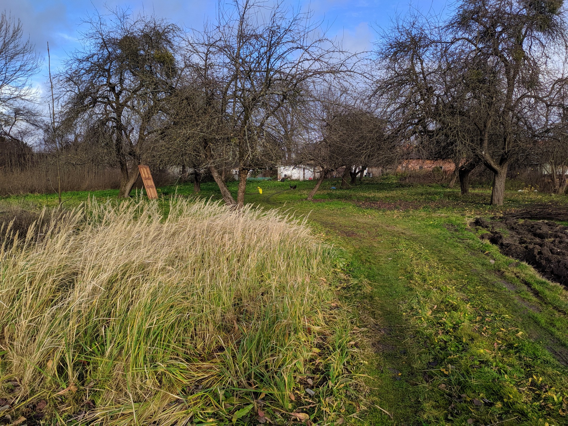 Dom na sprzedaż, 3 pokoje, 70 m², Bartoszyce