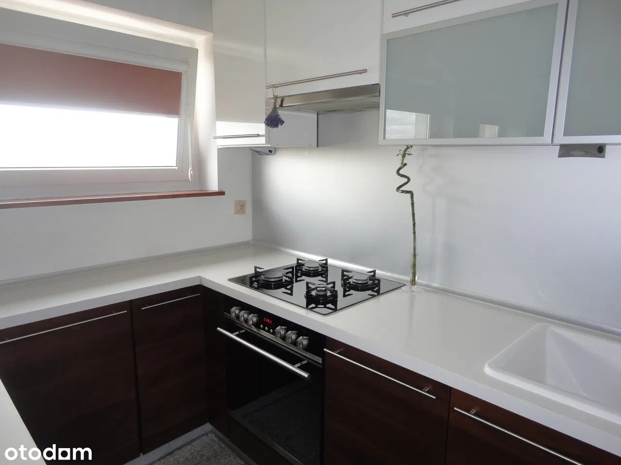 Poznań os. Dębina mieszkanie na wynajem, 2 pokoje, 38 m² + antresola - Widok 5