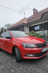 1,0.   MONTE CARLO Jeden właściciel.-2