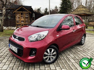 Kia Picanto II 1.0 69KM LEDY/klimatyzacja/tylko49tysKM/serwis/alu-1